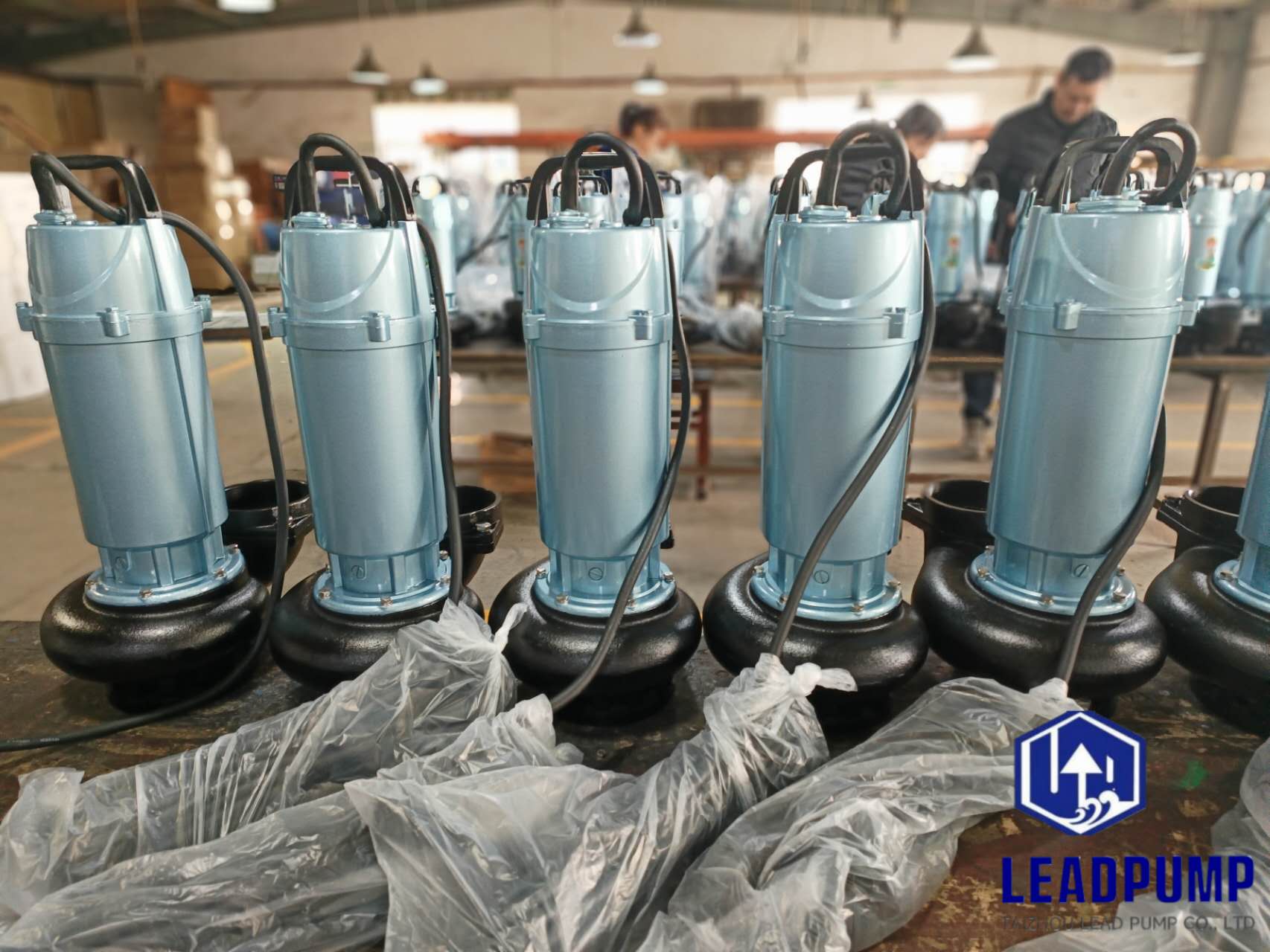 Taizhou Lead Pump co., Ltd afslutter produktionen af ​​nye nedsænkelige pumper til en Mellemøsten -kunde